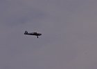 IMGP9653
