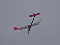 IMGP3867